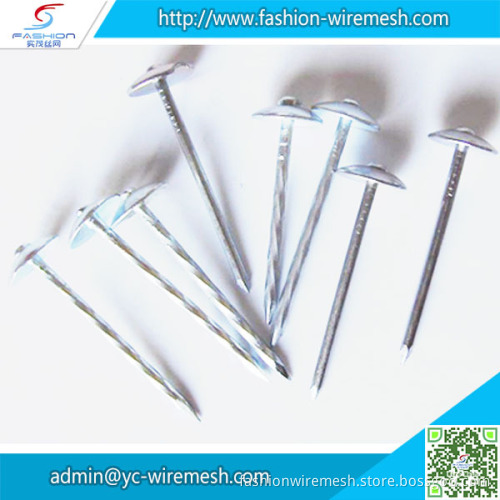 High Quality Building common wire nails
